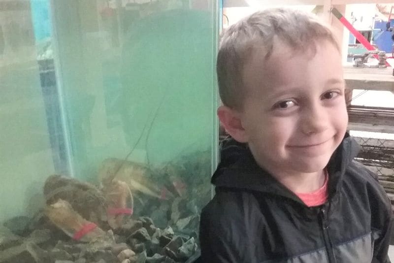 A child looking into the touch tank