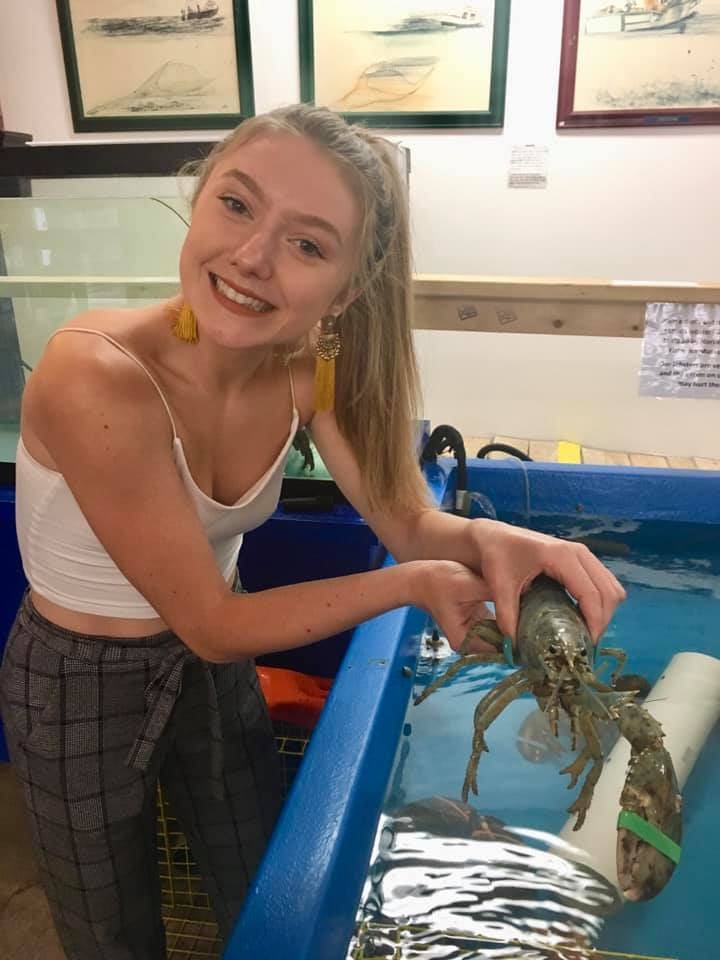 A visitor holding a lobster at the museum touch tank